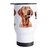 Copo Térmico Cachorro Raça Rhodesian Ridgeback - comprar online