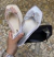 Chinelo borboleta na internet