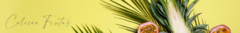 Banner da categoria COLEÇÃO FRUTAS