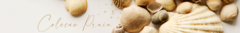 Banner da categoria COLEÇÃO PRAIA