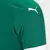 Imagem do Camisa Palmeiras I 25/26 Torcedor Puma Masculina - Verde
