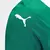 Imagem do Camisa Palmeiras I 25/26 Torcedor Puma Feminina - Verde
