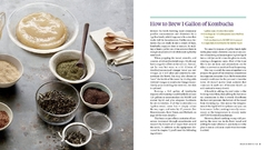 E-Book PDF: The Big Book of Kombucha: Hannah Crum & Alex La Gory - Probióticos Brasil
