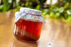 COMBO: Kefir de Leite + Scoby 8cm (Kombucha) na internet