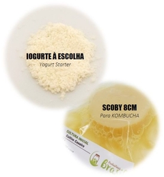 COMBO: Scoby 8cm (Kombucha) + Iogurte Infinito - comprar online