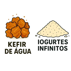 Combo: Kefir de Água + Iogurte Infinito - comprar online