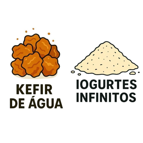 Combo: Kefir de Água + Iogurte Infinito - comprar online