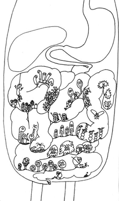 E-Book PDF - O discreto charme do intestino - Giulia Enders - Probióticos Brasil