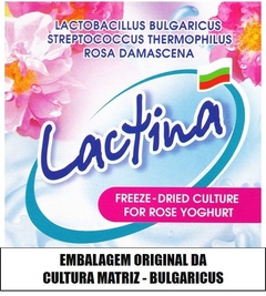 BULGARICUS - Iogurte Infinito - Original - Frete Fixo - Probióticos Brasil