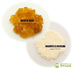 Combo: KEFIR DE ÁGUA + IOGURTE INFINITO -> Frete Fixo - comprar online