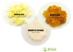 Combo 3 em 1: Kefir de Leite + Kefir de Água + Iogurte Infinito -> Frete Fixo - comprar online