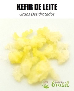 Grãos de Kefir de Leite - Frete Fixo