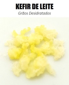 3 em 1: Kefir de Leite + Kefir de Água + Scoby - comprar online
