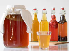 KOMBUKIT: Kit Completo para Kombucha - loja online