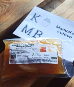 KOMBUKIT: Kit Completo para Kombucha - Probióticos Brasil