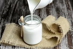SKYR - Iogurte Infinito - Original - Frete Fixo - Probióticos Brasil