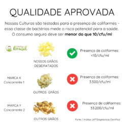 Combo 3 em 1: Kefir de Leite + Kefir de Água + Iogurte Infinito -> Frete Fixo - Probióticos Brasil