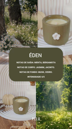 Wax Melts - Aromas em Despedidas - loja online