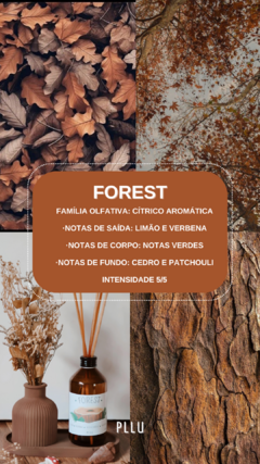 Difusor ambiente- 200ml - PLLU STUDIO 