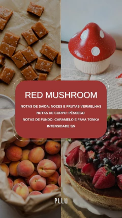 Imagem do Home spray - 30ml