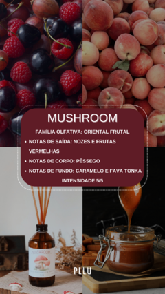 Difusor ambiente- 200ml na internet