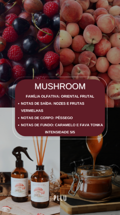 Dupla Aromatizadores - 200ml na internet