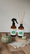 Kit - Green Pumpkin
