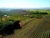 Experiência Winetour PREMIUM - Vinícola Terras Altas - JUNHO