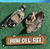 Pacote 5 Kits Revenda 01 - comprar online