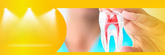Banner da categoria Endodontia