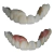 Resina Prizma Bio Crown 3D 250g - Makertech Labs - comprar online