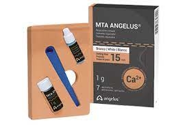 Cimento Reparador MTA com 7 doses de 1g - Angelus
