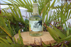 Cachaça São Paulo Abacaxi e Coco_355ml