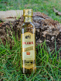 Clube da Cachaça Paraíba | De golim em Golim na internet