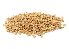 Coriandro En Grano X 500g - EL PORTUGUES -