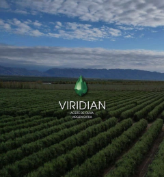 ACEITE DE OLIVA EXTRA VIRGEN INTENSO X 500mL - VIRIDIAN - en internet