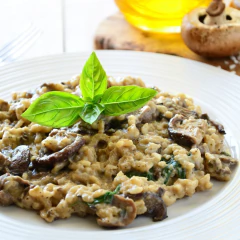 Hongos De Pino Boletus X 500g - El Portugues - EL PORTUGUES