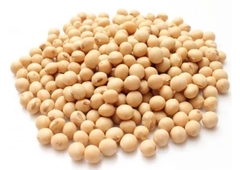 Poroto De Soja X 1 Kg - El Portugues