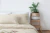 Kir Sense Dúo: Acolchado con Corderito + Sábanas 100% Algodón - 2 1/2 Plazas - tienda online