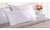 Combo x 2 - Almohadas Alcoyana Estudio Clásica 70x50