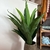 Planta Artificial Pau D’água Realista – 80cm