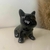 Enfeite Cachorro Bull Dog na internet