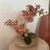 Arranjo de Orquídea