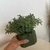 Arruda Artificial Realista para vaso com espuma floral - comprar online