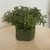 Arruda Artificial Realista para vaso com espuma floral - Ateliê Arte & Decor | CASA & DECORAÇÃO 
