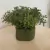 Arruda Artificial Realista para vaso com espuma floral - Ateliê Arte & Decor | CASA & DECORAÇÃO 