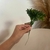 Pick Mini Arruda artificial - 22cm - comprar online