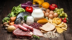 Banner de la categoría ALIMENTOS
