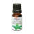 Hortelã Pimenta Óleo Essencial 10ml - Arte dos Aromas