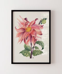 Quadro Decorativo Botânico Dália na internet